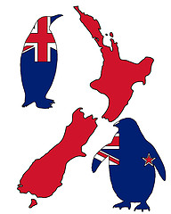 Image showing Penguin New Zealand