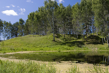 Image showing forest lake