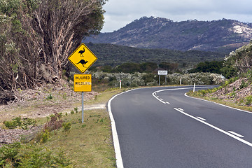 Image showing Australian, Wildlife Road Sign Road Trip