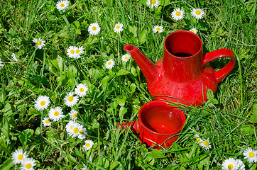 Image showing red clay vintage cup jug in daisy meadow 