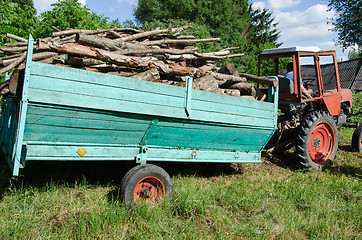 Image showing Tractor trailer loaded with tree firewood logs 