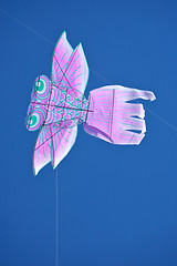 Image showing Kite flying 