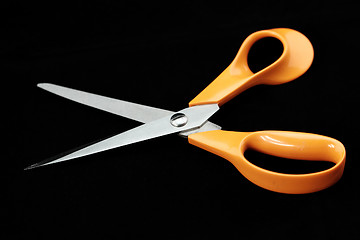 Image showing Scissors