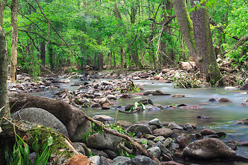 Image showing Waterfall