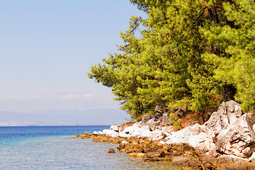 Image showing Green island