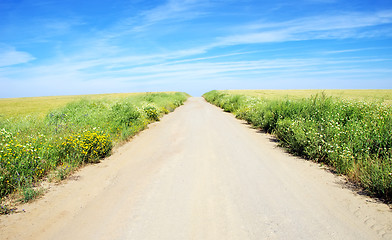 Image showing Rural landscape with dirt road on wheat field