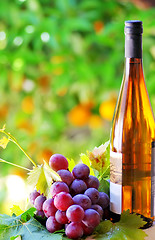Image showing Grapes and wine bottle