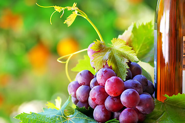 Image showing bottle of wine with grapes