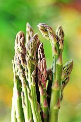 Image showing Green asparagus 