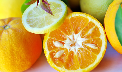 Image showing  background of  Lemon and orange slices