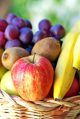 Image showing basket with fruits