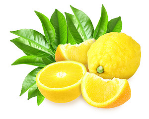 Image showing Fresh yellow lemons with green leaf