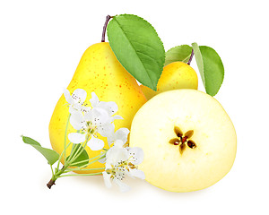 Image showing Fresh yellow-orange pears with green leaf