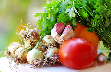 Image showing Tomato, garlic and fresh vegetables