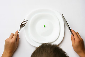 Image showing low fat dinner