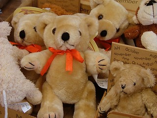 Image showing teddy bears