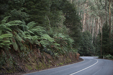 Image showing Curved road 