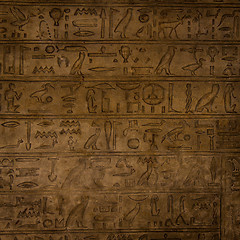 Image showing Hieroglyph