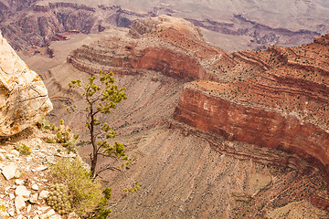 Image showing Grand Canyon