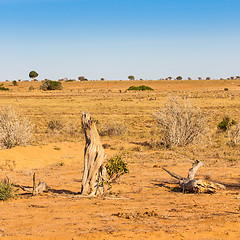 Image showing Adventure in Kenya