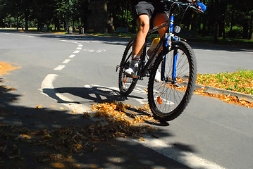 Image showing Summer cycling