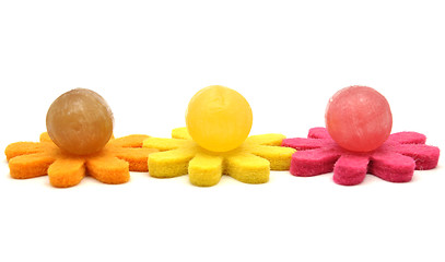 Image showing Lolly on felt
