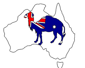 Image showing Australian camel