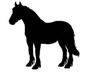 Image showing Horse Silhouette