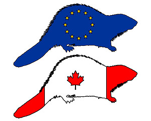 Image showing European and canadian beaver