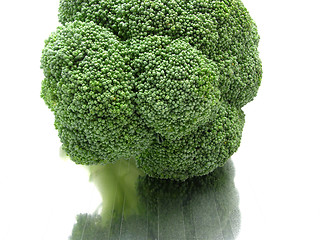 Image showing Background picture as close-up view on broccoli