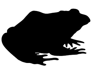 Image showing Bullfrog silhouette