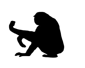 Image showing The black silhouette of a gibbon on white