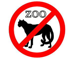 Image showing Cheetah in zoo prohibited