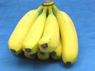 Image showing Bananas lying in front of a blue background