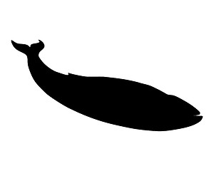 Image showing Blue whale silhouette