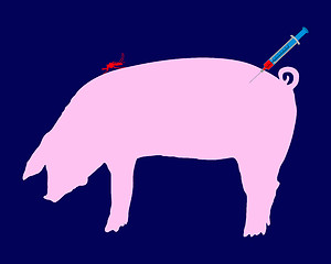 Image showing Pig gets an immunization against diseases of midge bites