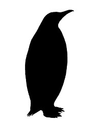 Image showing Penguin Silhouette