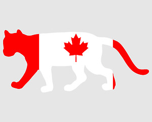 Image showing Cougar Canada