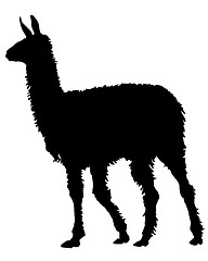 Image showing Lama Silhouette