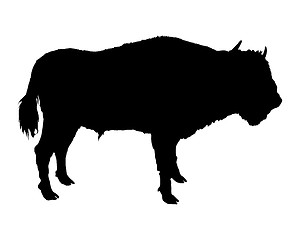 Image showing Bison shown in form of a black silhouette