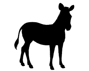 Image showing Zebra silhouette