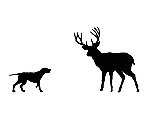 Image showing Two animals, setter and deer meet face to face