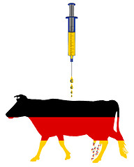 Image showing German cow and european cash injection