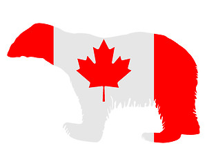 Image showing Canadian polar bear