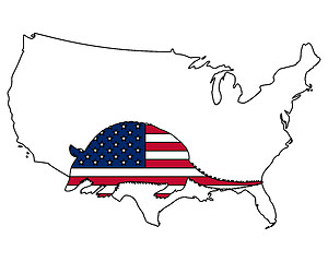 Image showing Armadillo United States of America