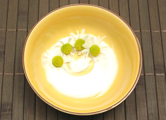 Image showing Camomile bloom in a cream on brown mat