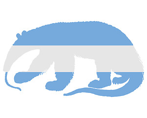 Image showing Anteater Argentina