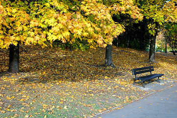Image showing Park in the autumn day