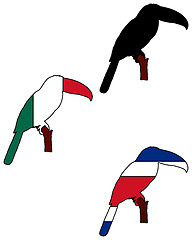 Image showing Toucan flags