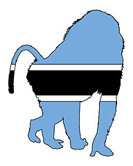 Image showing Baboon botswana